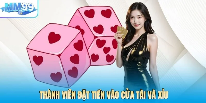 Thành viên đặt tiền vào cửa Tài và Xỉu
