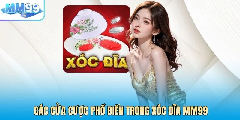 Các cửa cược phổ biến trong xóc đĩa MM99